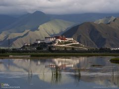 Tapeta National Geographic 445.jpg